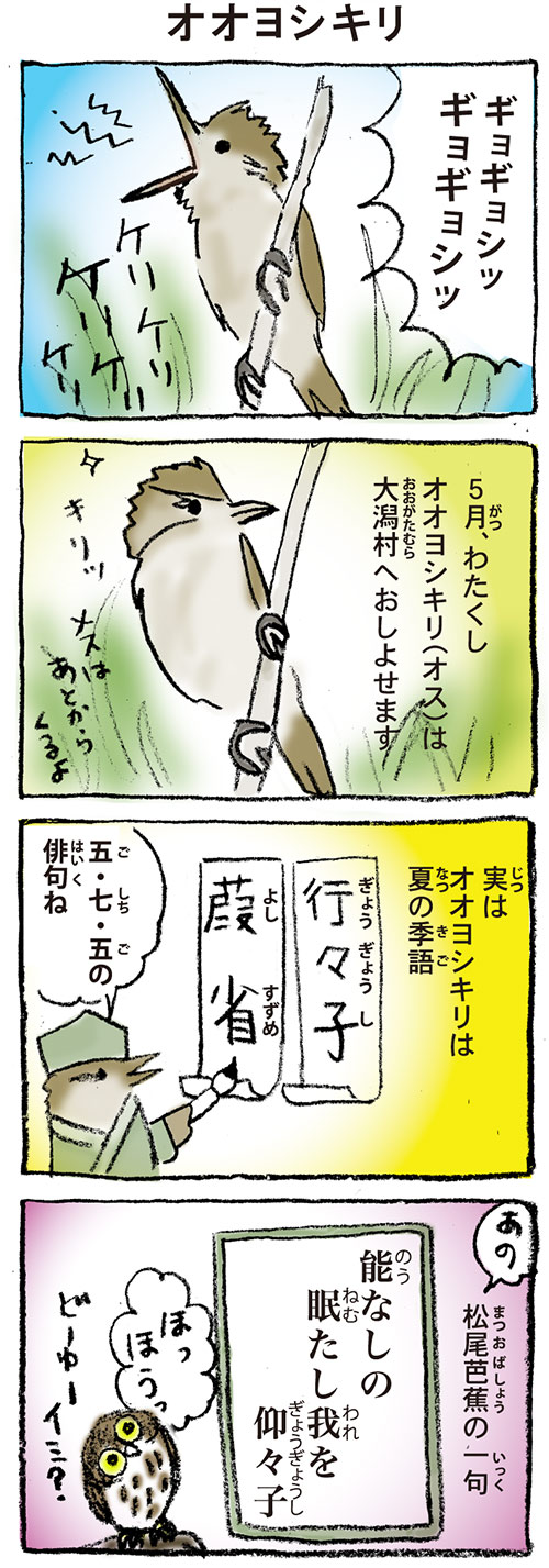 オオヨシキリ４コマ漫画