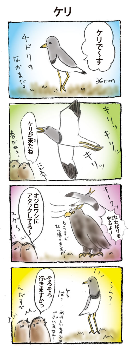 4コマ漫画ケリ